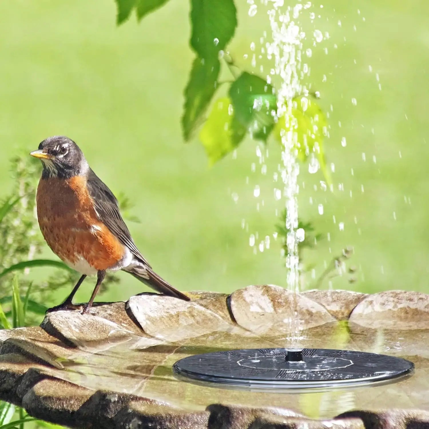 solar Fountain Floating Solar Fountain Pump Is Suitable fSor Bird Baths, Gardens, Ponds, Swimming Pools, and Outdoor Activities